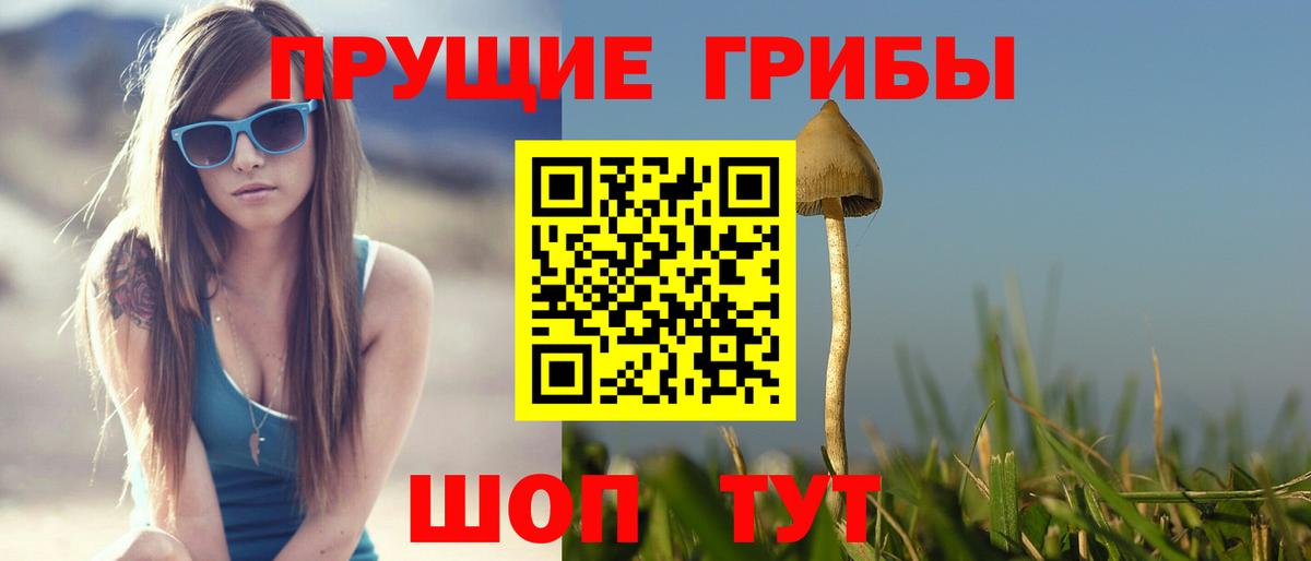 Псилоцибиновые грибы MAGIC MUSHROOMS Минеральные Воды